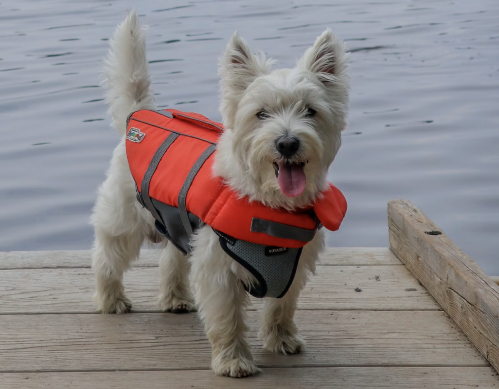 Home Official online boating license course approved by NASBLA